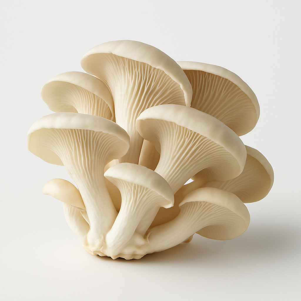 Musrum The Mushroom Tribe